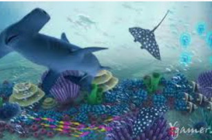 开云足球免费版